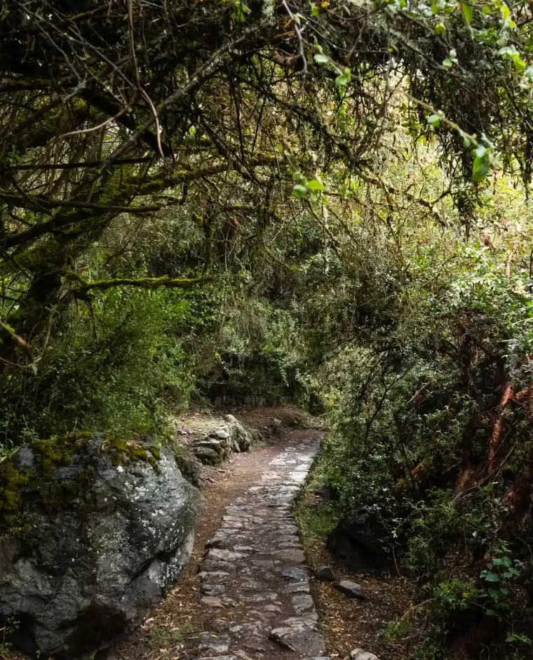 Salkantay Trek 3 Days to Machu Picchu​